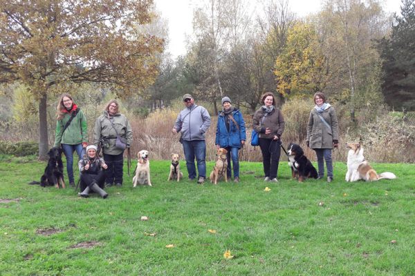 Team Hundeführerschein 2017