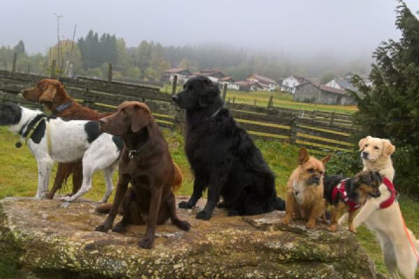 Urlaub auf dem Bärenhof