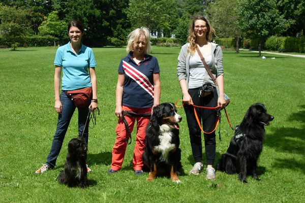 Hundeschule Kurs