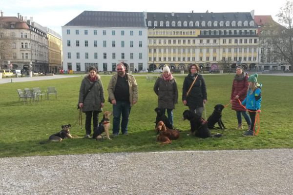 Hunde-Training in München
